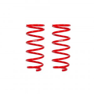 PRO-LIFT-KIT Springs (Rear Springs Only)